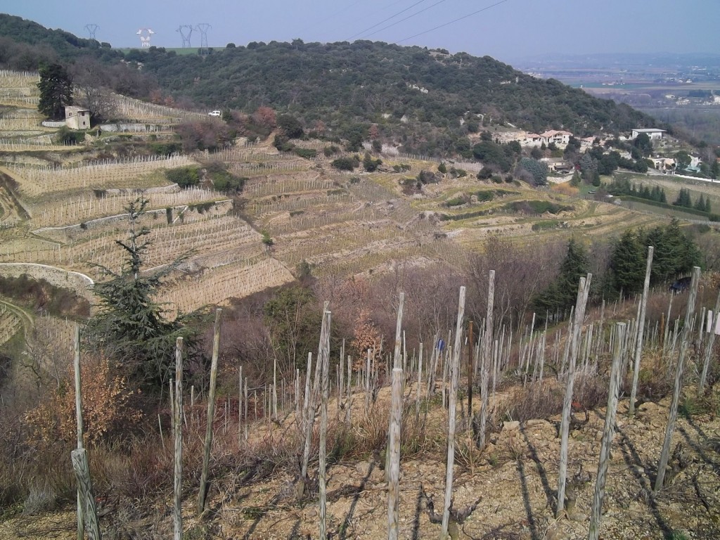 The steep terraced vineyards of Cornas.